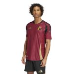 adidas 2024-25 Belgium Men's Authentic Home Jersey - Image 3