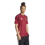 adidas 2024-25 Belgium Men's Stadium Home Jersey - Image 4