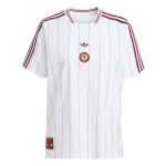 adidas 2025-25 Aston Villa Men's Icon Soccer Jersey