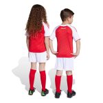adidas 2025-26 Arsenal Kid's Home Mini Kit - Image 9