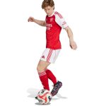 adidas 2025-26 Arsenal Men's Stadium Home Shorts - Image 4