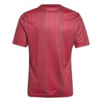 adidas 2025-26 Arsenal Youth Pre-Match Soccer Jersey - Image 2