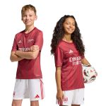 adidas 2025-26 Arsenal Youth Pre-Match Soccer Jersey - Image 7