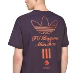 adidas 2025-26 Bayern Munich Men's Icon Graphic Tee - Image 5