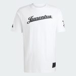 adidas 2025-26 Juventus Men's US Tee