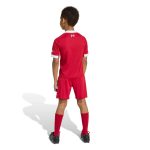adidas 2025-26 Liverpool Kid's Home Mini Kit - Image 9