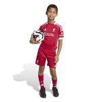 adidas 2025-26 Liverpool Kid's Home Mini Kit - Image 8