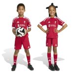 adidas 2025-26 Liverpool Kid's Home Mini Kit - Image 10