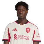 adidas 2025-26 Liverpool Men's Authentic Away Soccer Jersey - Image 5