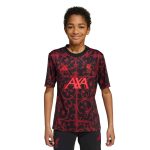adidas 2025-26 Liverpool Youth Pre-Match Soccer Jersey - Image 3