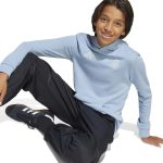 adidas 2025 Argentina Youth Anniversary DNA Hoodie - Image 7