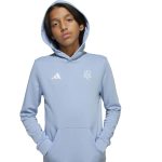 adidas 2025 Argentina Youth Anniversary DNA Hoodie - Image 6