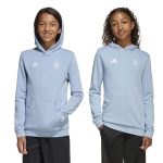 adidas 2025 Argentina Youth Anniversary DNA Hoodie - Image 4