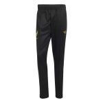 adidas 2025 Mexico Men's De Oro Track Pants