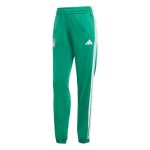 adidas 2026 Mexico Women's DNA Track Pants