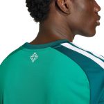 adidas 2026 Northern Ireland Men's Stadium Home Soccer Jersey - Image 6