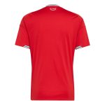 adidas 2026 Wales Men's Stadium Home Soccer Jersey - Image 2