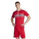 adidas 2026 Wales Men's Stadium Home Soccer Jersey - Image 3