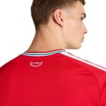 adidas 2026 Wales Men's Stadium Home Soccer Jersey - Image 6