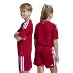 adidas 2026 Wales Youth Stadium Home Soccer Jersey - Image 8