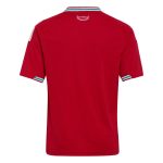 adidas 2026 Wales Youth Stadium Home Soccer Jersey - Image 2