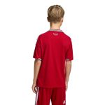 adidas 2026 Wales Youth Stadium Home Soccer Jersey - Image 6