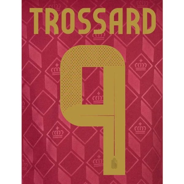 Belgium 2024/25 Home Trossard #9 Jersey Name Set