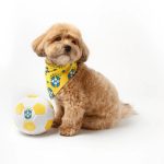 Floofball Barksil Dog Bandana - Image 3