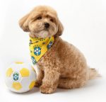 Floofball Barkzil Plush Soccer Ball - Dog Toy - Image 4