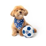 Floofball Chewlsea Dog Bandana - Image 4