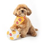 Floofball Colombia Dog Bandana - Image 4