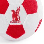 Floofball Liverpooch Plush Soccer Ball - Dog Toy - Image 3