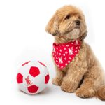 Floofball Liverpooch Plush Soccer Ball - Dog Toy - Image 4