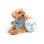 Floofball Manchewster City Dog Bandana - Image 4