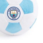 Floofball Manchewster City Plush Soccer Ball - Dog Toy - Image 3
