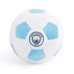 Floofball Manchewster City Plush Soccer Ball - Dog Toy