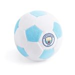 Floofball Manchewster City Plush Soccer Ball - Dog Toy - Image 2