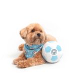 Floofball Manchewster City Plush Soccer Ball - Dog Toy - Image 4