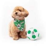 Floofball Mexico Dog Bandana - Image 4