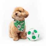 Floofball Mexico Plush Soccer Ball - Dog Toy - Image 4