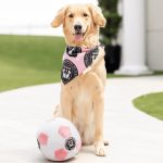 Floofball Miami Plush Large (7.5"x7.5") Soccer Ball - Dog Toy - Image 4