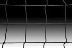 Kwik Goal 8H x 24W x 3D x 8 1/2B, 120mm mesh, Solid Braid Knotless (Single) - Image 2